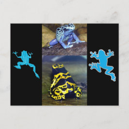 BLUE DART FROG POSTKARTE