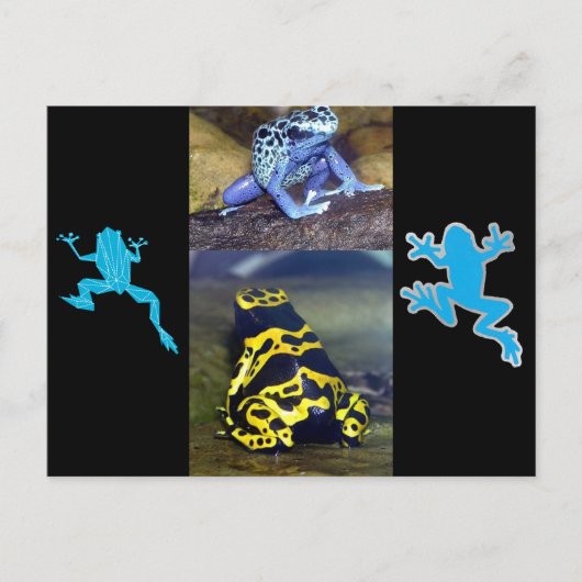 BLUE DART FROG POSTKARTE (Vorderseite)