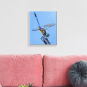 Blue Dasher Dragonfly in "Obelisk Posture" Leinwanddruck (Insitu (Wohnzimmer))