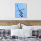 Blue Dasher Dragonfly in "Obelisk Posture" Leinwanddruck (Insitu (Schlafzimmer))