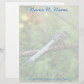 Blue Dasher Dragonfly Items Letterhead Briefbogen (Vorne/Hinten)