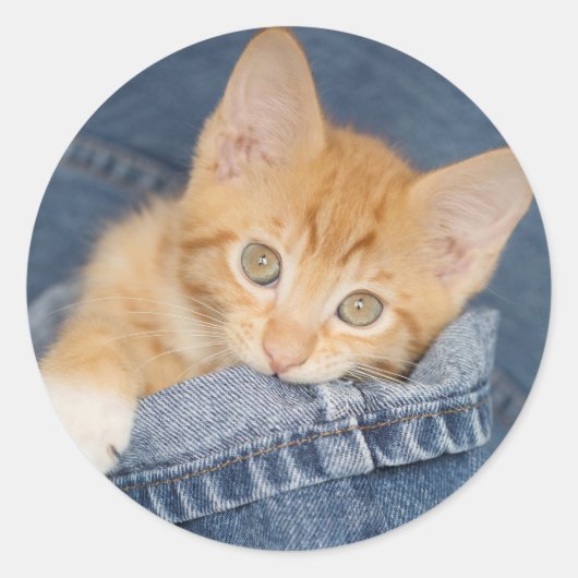 Blue Denim Orange Kitty Sticker (Vorderseite)