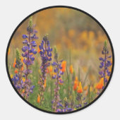 Blue Desert Lupines Orange Poppies Umschlag Aufkle Runder Aufkleber (Vorderseite)