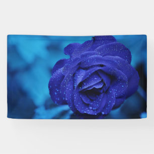Blue Dewdrop-Rose Banner