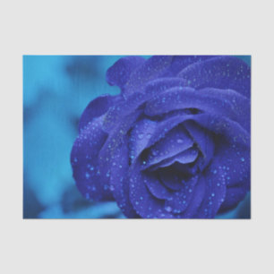 Blue Dewdrop-Rose Seidenpapier