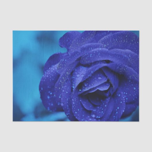 Blue Dewdrop-Rose Seidenpapier (Vorderseite)
