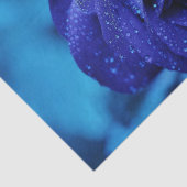 Blue Dewdrop-Rose Seidenpapier (Ausschnitt)