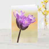 Blue Dick Wildblume Karte (Gelbe Blume)