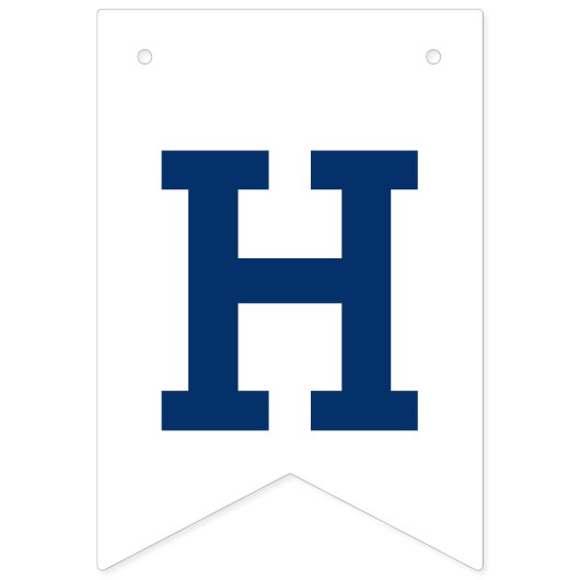 Blue Dinosaurier Add Age Birthday Dino Party Wimpelkette (Zweite Fahne)