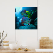 Blue Discus Fish Aquarium Panzer Art Poster (Küche)