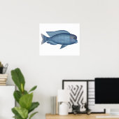 Blue Dolphin Cichlid Poster (Heimbüro)