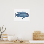 Blue Dolphin Cichlid Poster (Küche)