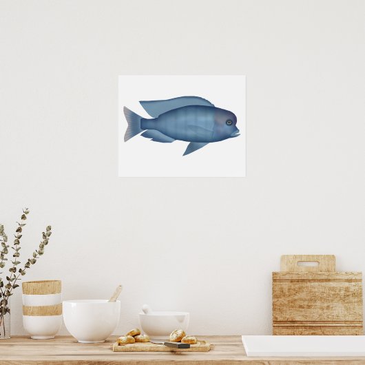 Blue Dolphin Cichlid Poster (Küche)