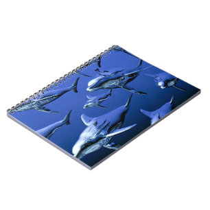 Blue Dolphin Notizblock
