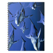 Blue Dolphin Notizblock (Vorderseite)