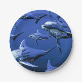 Blue Dolphin Pappteller (Vorderseite)