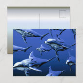 Blue Dolphin Postkarte (Vorne/Hinten)