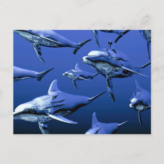 Blue Dolphin Postkarte (Vorderseite)