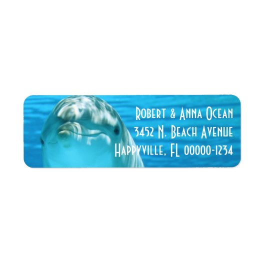 Blue Dolphin Rücksendeadresse (Vorne)