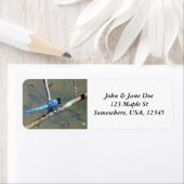 Blue DragonFly (Insitu)
