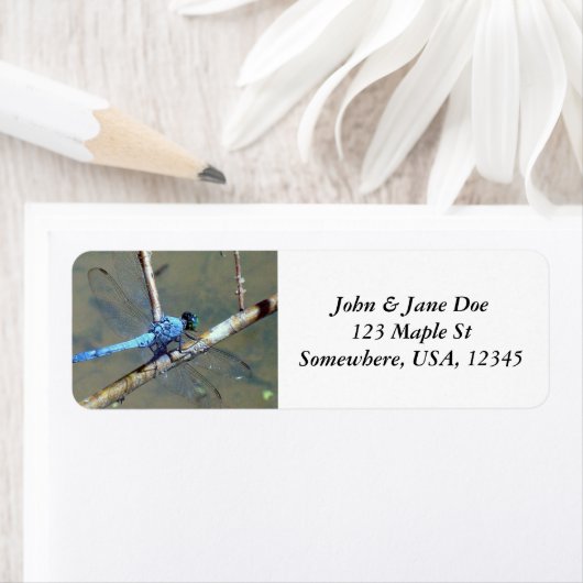 Blue DragonFly (Insitu)