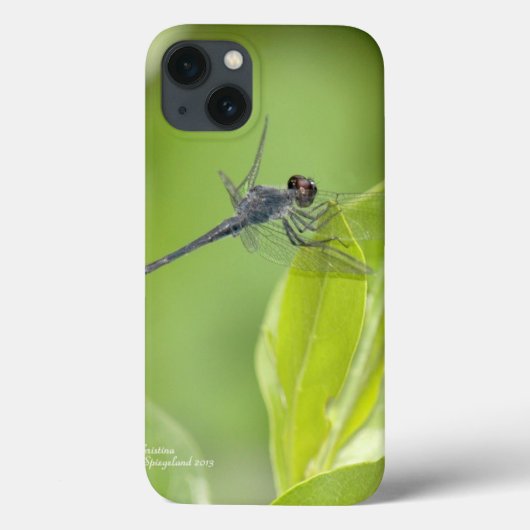Blue Dragonfly auf Blätter iPad Fall Case-Mate iPhone Hülle (Rückseite)