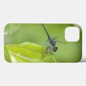 Blue Dragonfly auf Blätter iPad Fall Case-Mate iPhone Hülle (Rückseite (Horizontal))