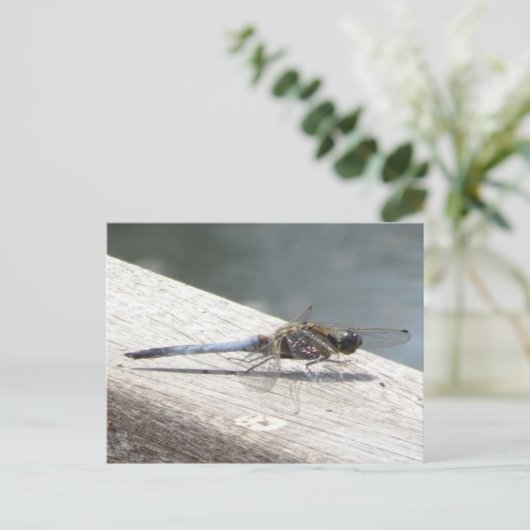 Blue Dragonfly DIY Postkarte (Stehend Vorderseite)