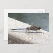 Blue Dragonfly DIY Postkarte (Vorne/Hinten)