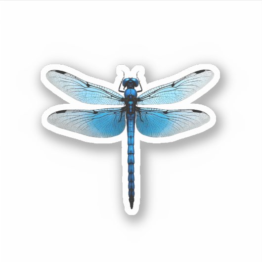 Blue Dragonfly - Insecco Wildlife Tierpark Califor Aufkleber (Vorderseite)