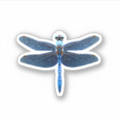 Blue Dragonfly - Insecco Wildlife Tierpark Califor Aufkleber (Vorderseite)
