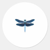 Blue Dragonfly - Insecco Wildlife Tierpark Califor Runder Aufkleber (Vorderseite)