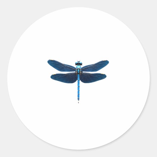 Blue Dragonfly - Insecco Wildlife Tierpark Califor Runder Aufkleber (Vorderseite)
