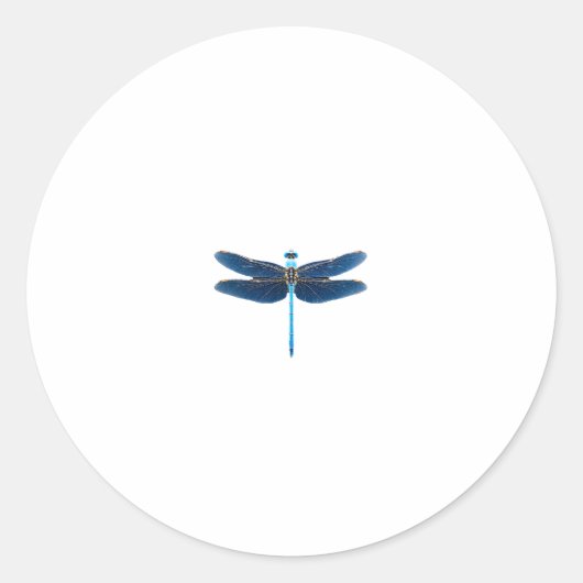Blue Dragonfly - Insecco Wildlife Tierpark Califor Runder Aufkleber (Vorderseite)