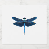 Blue Dragonfly - Insecco Wildlife Tierpark Califor Schaumweinetikett (Einzelnes Label)