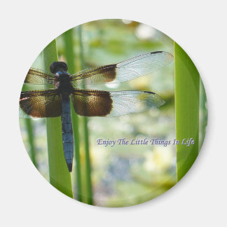Blue Dragonfly Magnet