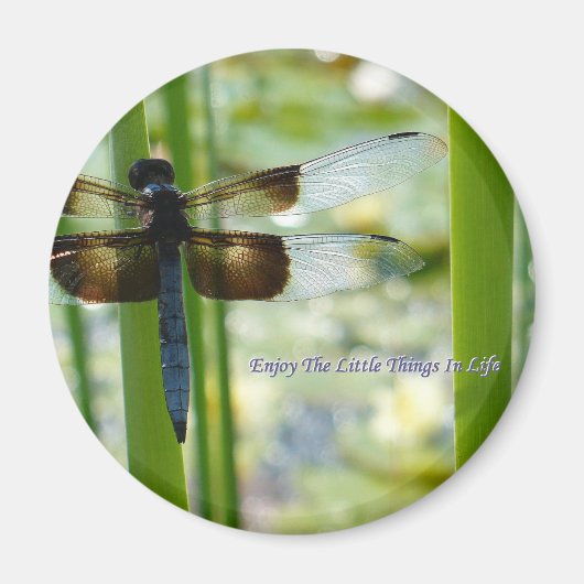 Blue Dragonfly Magnet (Vorne)