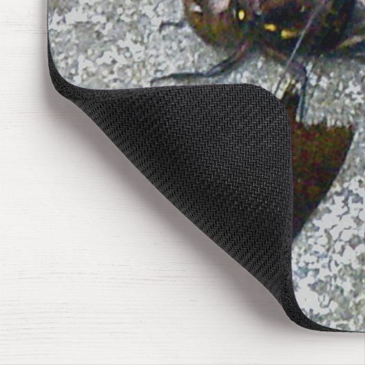 Blue Dragonfly Mousepad (Ecke)