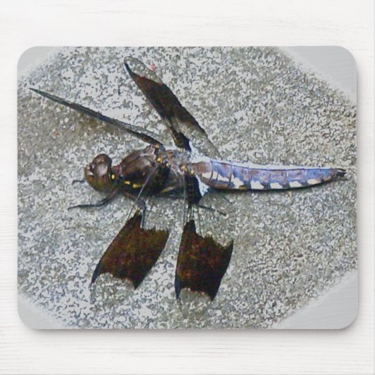 Blue Dragonfly Mousepad (Vorne)