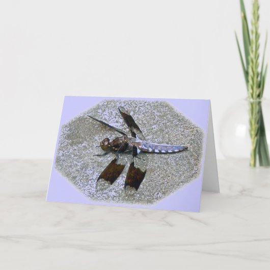 Blue Dragonfly Note Card Karte (Vorderseite)