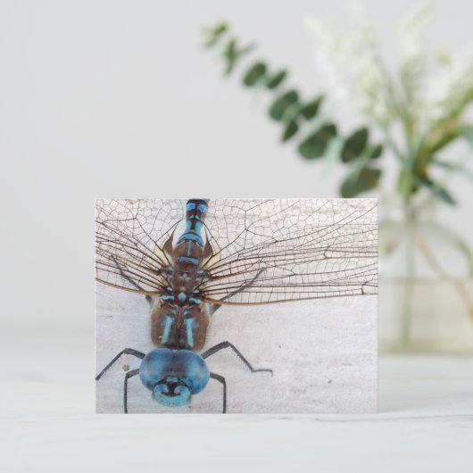 Blue Dragonfly Postcard Postkarte (Stehend Vorderseite)