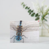 Blue Dragonfly Postcard Postkarte (Stehend Vorderseite)