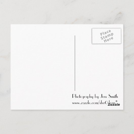 Blue Dragonfly Postcard Postkarte (Rückseite)