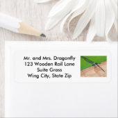 Blue Dragonfly sitzt auf den Rail-Address-Labels (Insitu)