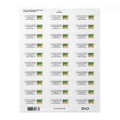 Blue Dragonfly sitzt auf den Rail-Address-Labels (Vorne)