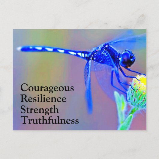 Blue Dragonfly Spirit Züge Postkarte (Vorderseite)