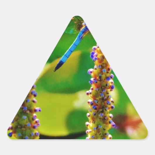 Blue Draquelly and Flowers Dreieckiger Aufkleber (Vorderseite)