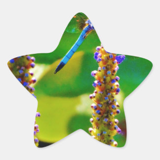 Blue Draquelly and Flowers Stern-Aufkleber