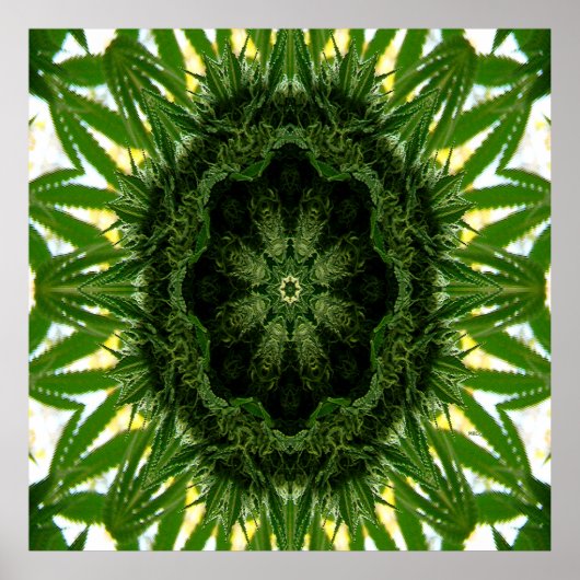 Blue Dream Mandala... Poster (Vorne)