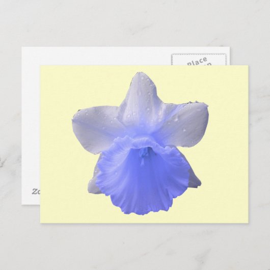 Blue Dripping Daffodische Blume Postkarte (Vorne/Hinten)
